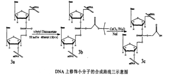 1597110587260051.png image.png