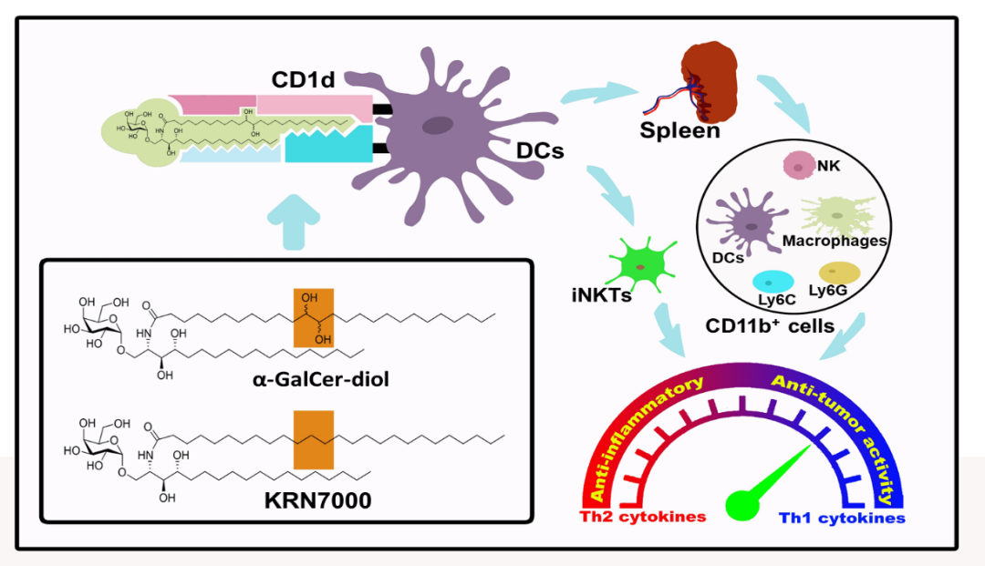 1598586430928824.png 6.png