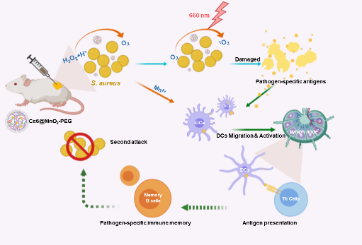 1598586708874606.png 7.png