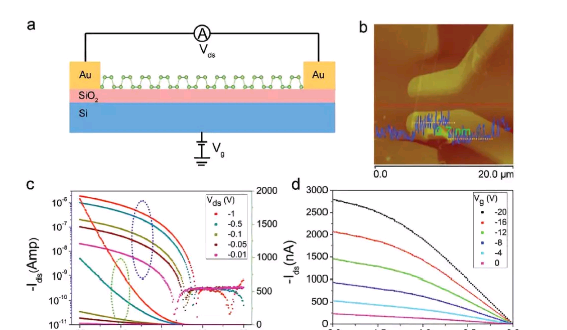 1599201210641299.png 2.png