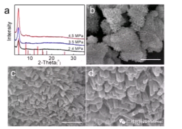 1599202023392951.png 1.png