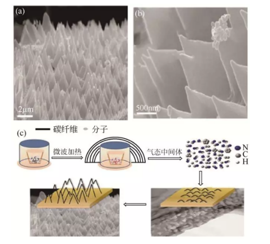 1600998507880277.png image.png