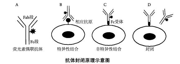 1604542897107179.png image.png