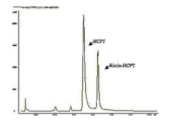 1607997151749598.png image.png