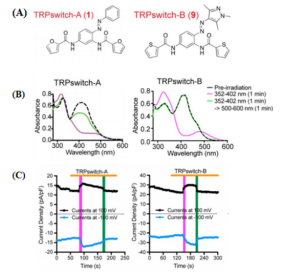 1615345145542877.png image.png