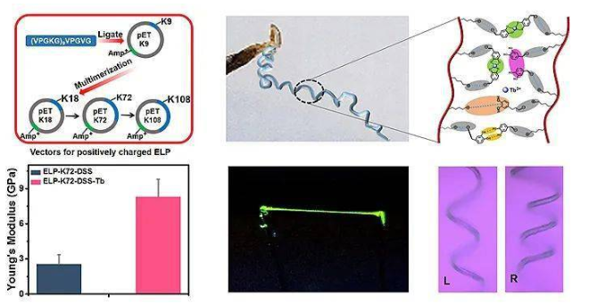 1616150849125425.png image.png