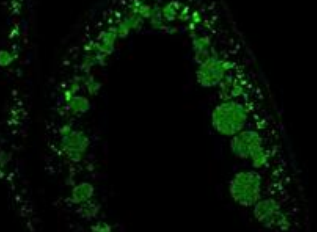 1616384100583126.png image.png