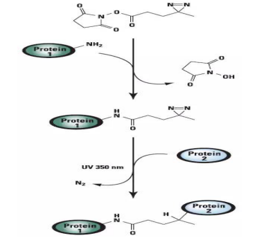 1616640821495695.png image.png