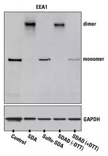 1616640843544678.png image.png