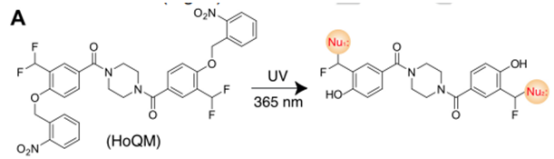 1616746295367117.png image.png