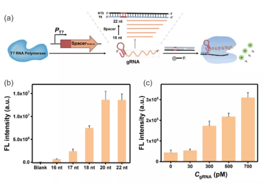 1616748117931837.png image.png