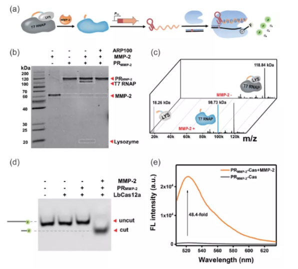 1616748129831918.png image.png