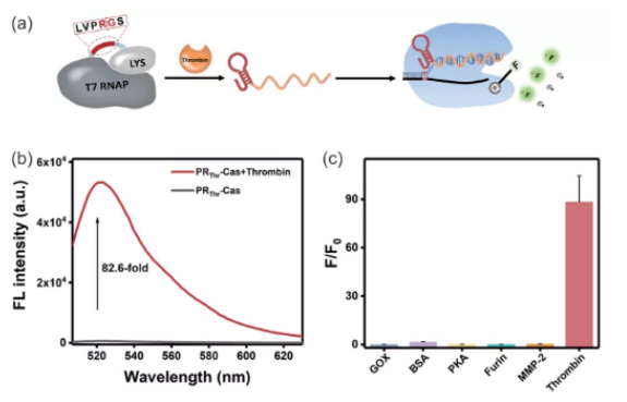 1616748153252605.png image.png