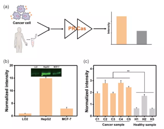 1616748167148481.png image.png