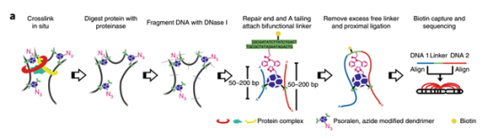 1616982100768588.png image.png