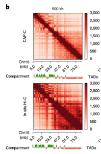 1616982115863359.png image.png