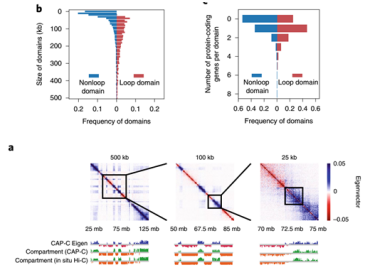 1616982539199408.png image.png