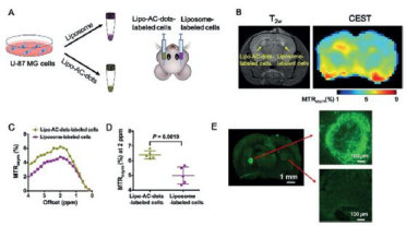 1617243538899547.png image.png