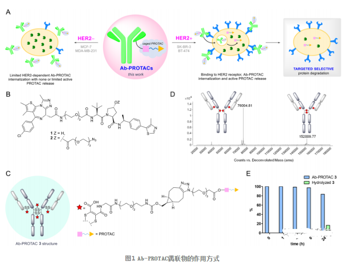 1617790141847116.png image.png