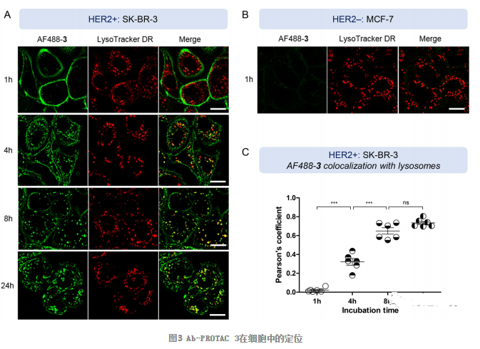 1617790207331633.png image.png