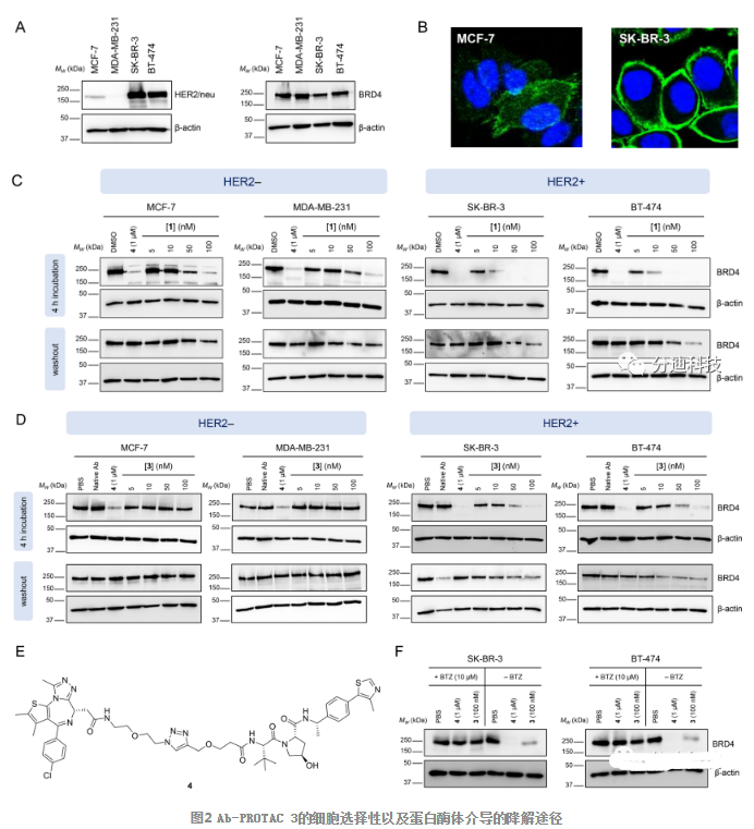 1617790762344671.png image.png