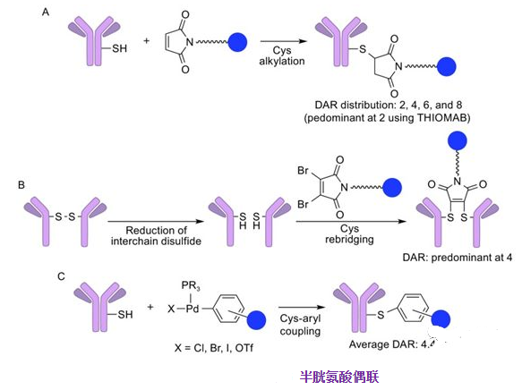 1617792007689182.png image.png