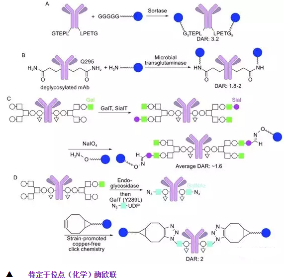 1617792055565295.png image.png