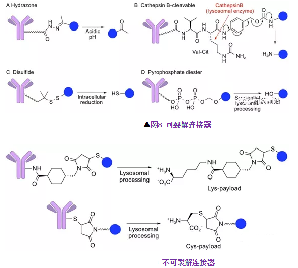 1617792080632353.png image.png