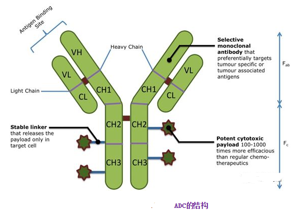 1617792115951991.png image.png