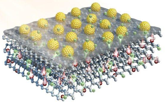 1619085571596562.png image.png