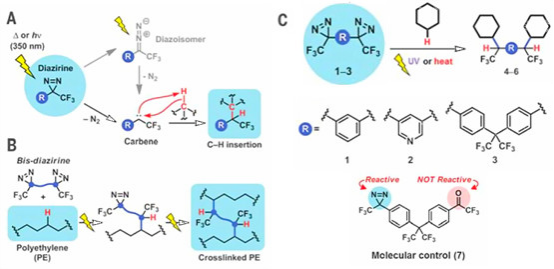 1620287118902188.png image.png