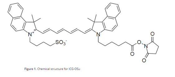 1620642963916772.png image.png