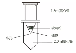1620979903212244.png image.png