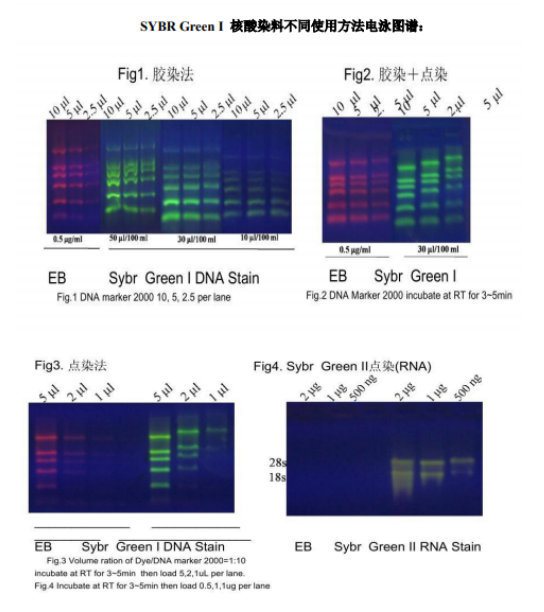 1621316263305634.png image.png