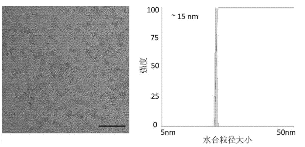 1621503974572904.png image.png