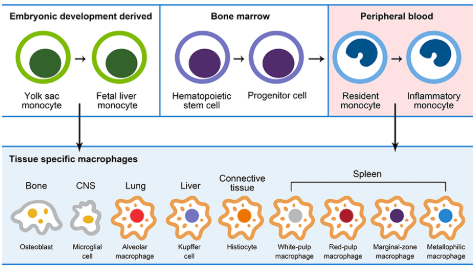 1626077943639002.png image.png