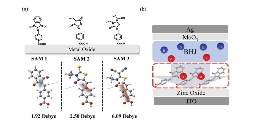 1629367295999506.png image.png