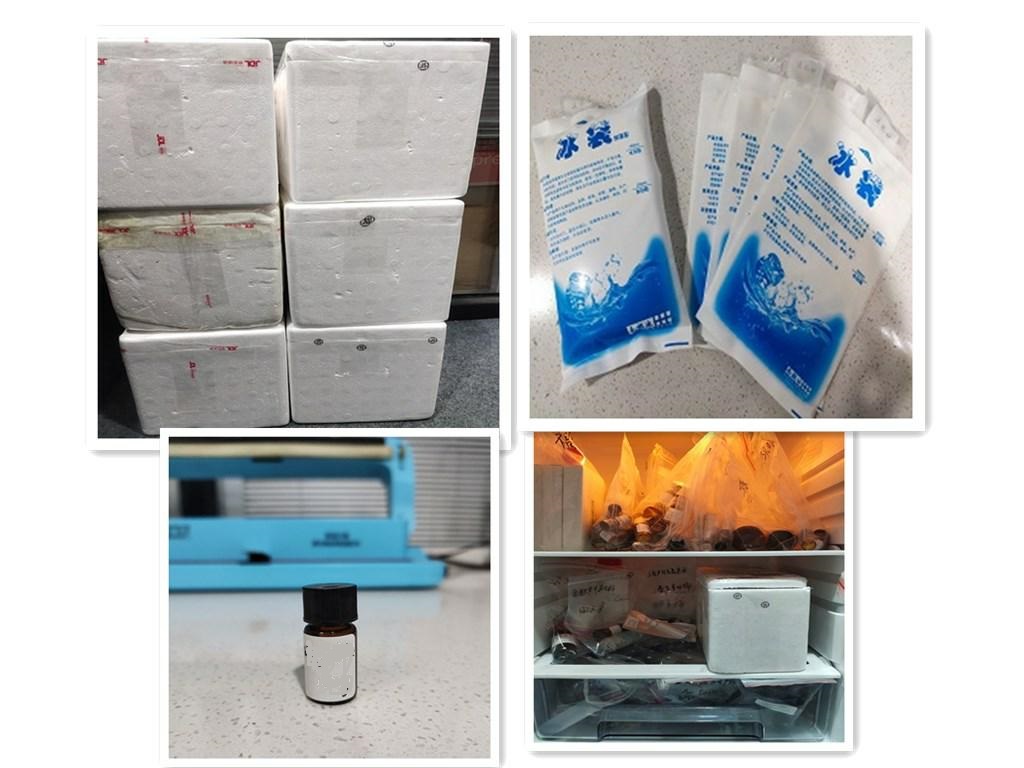 1633748981133672.jpeg 发货_极速看图.jpg