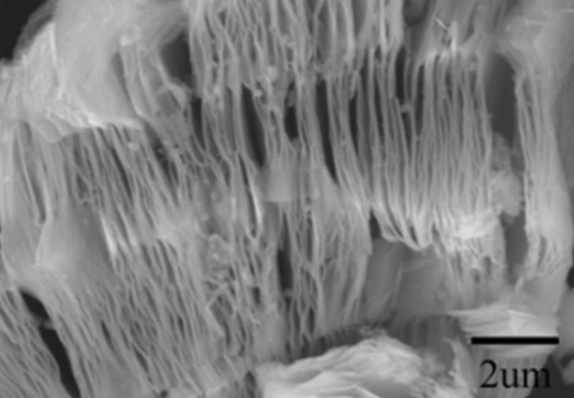 1636018398181722.png image.png