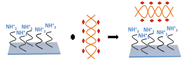 1637121312901278.png image.png