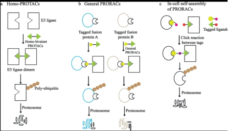 1637205434212703.png image.png