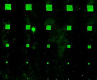 1637805090852397.png image.png