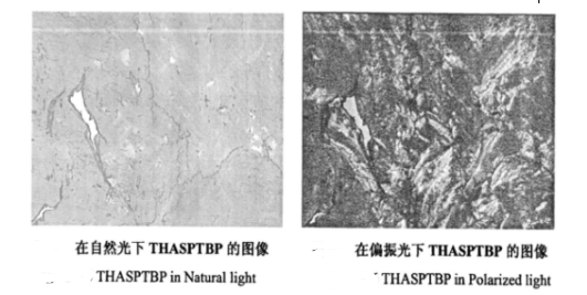 1641978065441337.png image.png