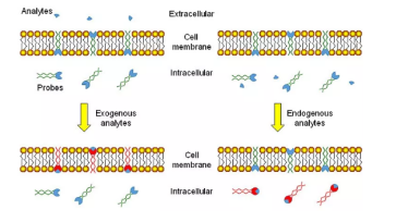 1644307858110776.png image.png