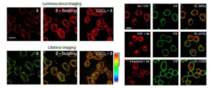 1644307874920016.png image.png