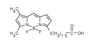 BODIPY FL C16(4,4-二氟-5,7-二甲基-4-硼杂-3a,4a-二氮杂-s-引达省-3-棕榈酸).png BODIPY FL C16(4,4-二氟-5,7-二甲基-4-硼杂-3a,4a-二氮杂-s-引达省-3-棕榈酸).png