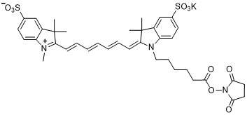 Sulfo-Cyanine 7 NHS ester.png Sulfo-Cyanine 7 NHS ester.png