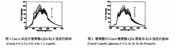 1647336496258371 1647336496258371