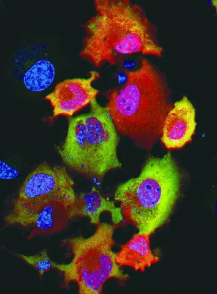 1647428743848658.png QQ截图20220316162844.png