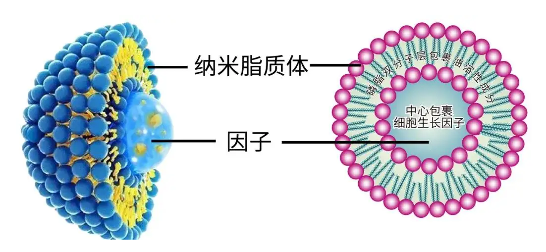 1648608249353466.png QQ截图20220330104340.png